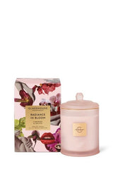 Glasshouse Radiance in Bloom Candle